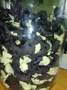 Topolovka růžová - varieta nigra - sušený květ