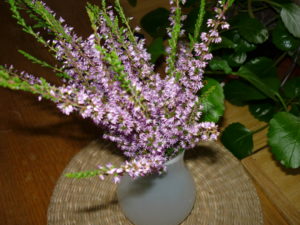 Vřesová kytička ve váze